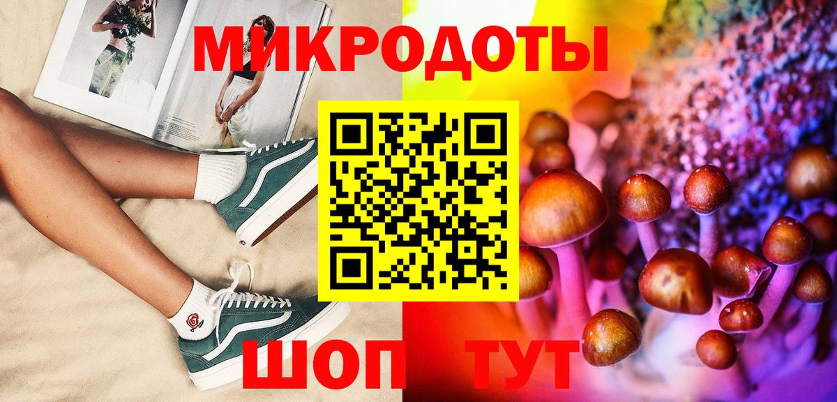Усть-Джегута  Галлюциногенные грибы Psilocybine cubensis  Вход с VPN 